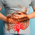 Limpieza de 15 días: apoyo para el intestino y el colon